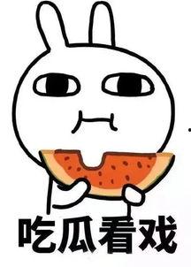 娱乐吃瓜酱专科